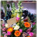 지노메디 이미지