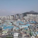 장림본동 Daum카페