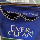 크린에버 | [내돈내산] 에버크린 고양이 모래 엑스트라 클럼프 후기 + 고양이 자랑