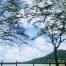 보성컨트리클럽 | 국내 골프투어 전남 보성cc 가을 골프 여행 전라도 밥상 전반 9홀 라운딩 행복했던 날