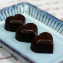 카카오공오삼(CACAO053)