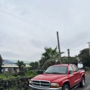 스테이선자우 이미지