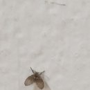 상수도사업본부 화장실 이미지