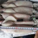 (주)동양냉장 이미지