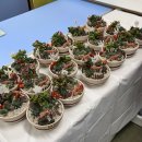 반려식물 다육이 관리법과 테라리움 원예 | 경북농민사관학교 원예 및 힐링체험 과정 다육이 사막정원 만들기