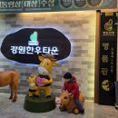 하나로마트 퇴계점 | 춘천 가족모임하기좋은곳:: 춘천 한우맛집 &#39;강원한우타운&#39; 후기