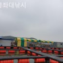 킹콩좌대 이미지