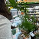 어흥스테이 이미지