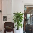 조민호의사진여행