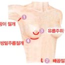 두드림성형외과의원 이미지