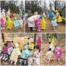 해든실 Daum카페