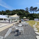 샌드비치 이미지