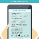 창원강아지분양 고양이분양 도그마루 네이버블로그