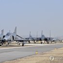 엘레펀트워크(elephant walk)