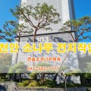 큰솔조경나무병원 이미지
