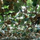 순용농장 이미지