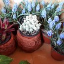 생활도자기(오후반) 이미지