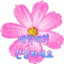 💛 놀라운!! 양파껍질차의 효능 이미지