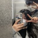 한국레인보우선영 | 🎡롯데월드 어드벤처 부산 개장 첫날🎡