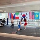 팀 드래곤 복싱 장곡점 이미지