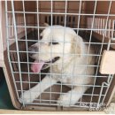 봉곡동042 이미지