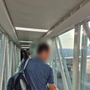 항공 오전비행기,서머셋그랜드하노이,하노이 궁스파 픽드랍 가격/MET멧레스토랑/카페램 에그커피/녹손사원)
