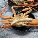 251-2-000050 | 포항 영일대 맛집 홍게 무한리필 통크게 붉은대게