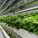 스마트팜 이미지