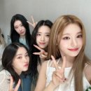 말랑콩떡 이미지