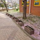 포미산다