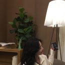 케익타운베이커리 - 27664 | 마곡 카페 추천 | 주차 편한 대형 베이커리 카페 크레스타운 후기