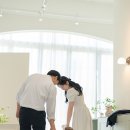 메종드데코 | 동탄 돌잔치스냅 ｜ 메종드페 돌스냅 후기