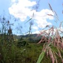 주암호 생태습지 이미지