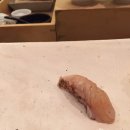 스시선수 이미지