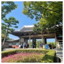 달성공원관리사무소 | 대구 달성공원 동물원가서 코끼리 보고 왔어요/ 장단점, 입장료, 주차장 정보