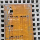 노부스테라 이미지