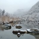 인제군농업기술센터 이미지