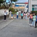 홍광초등학교 이미지