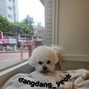 연두미용실