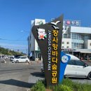 세븐일레븐 속초장사해안점 | [속초] 국내 스노클링 스팟 추천 속초 장사항 정보 (주차정보, 파라솔 대여, 스노클링 준비물, 해파리 등)