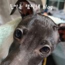 부천준동물병원 이미지