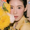러플디자인스튜디오 이미지