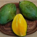 초록망고 이미지