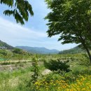 마산농장 이미지