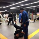 팀혼주짓수