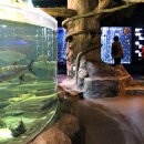 단양-단양-05 이미지