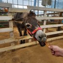 오정농장 이미지