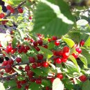 일어나공인중개사사무소 이미지