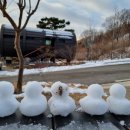 대나무랜드 이미지