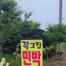 꼭그집